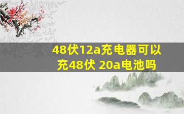 48伏12a充电器可以充48伏 20a电池吗